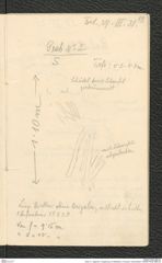 Seite 21, Tagebuch "Umgebung von Mistelbach | Poysdorf | Schanzleiten" (NHMW-PRAE-BBB-25)